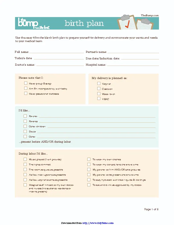 Birth Plan Template - PDFSimpli