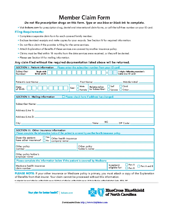 Blue Cross Blue Shield Association Member Claim Form PDFSimpli