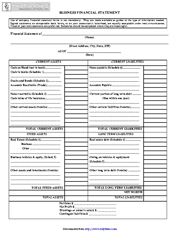 Business Financial Statement Form 2