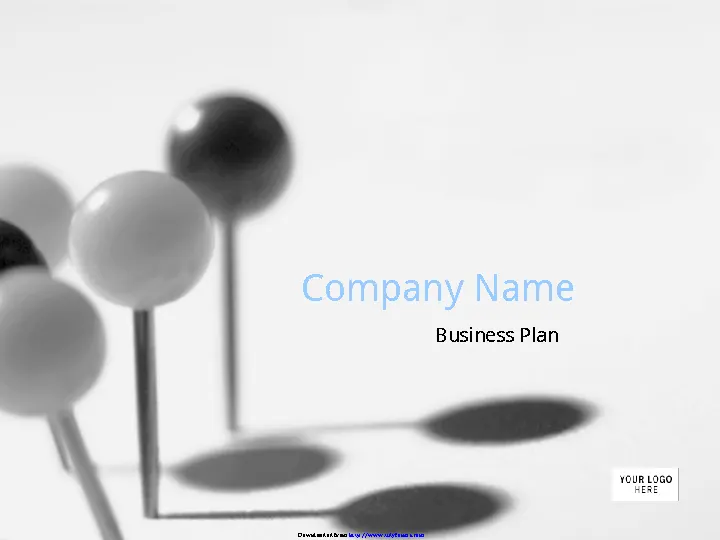 Business Plan Presentation 1