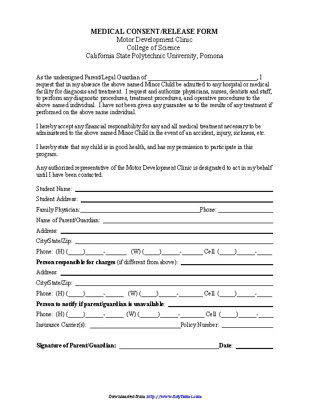 California Medical Consent And Release Form For Minor Child