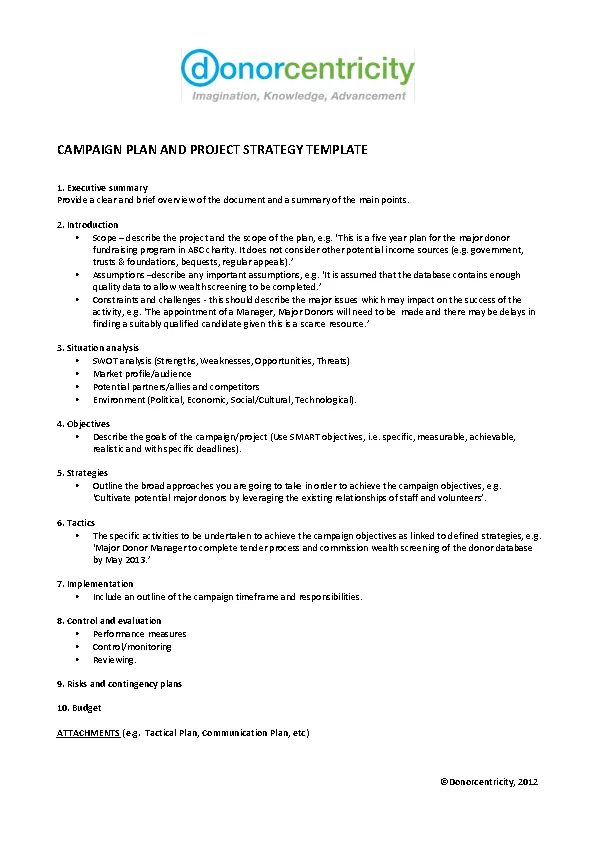 Campaign Strategy Template PDFSimpli