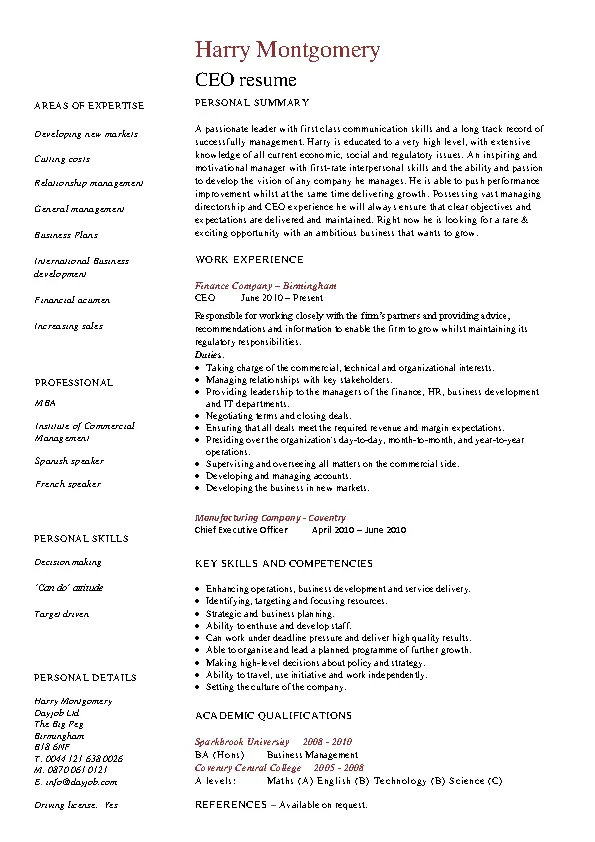Ceo Resume Examples