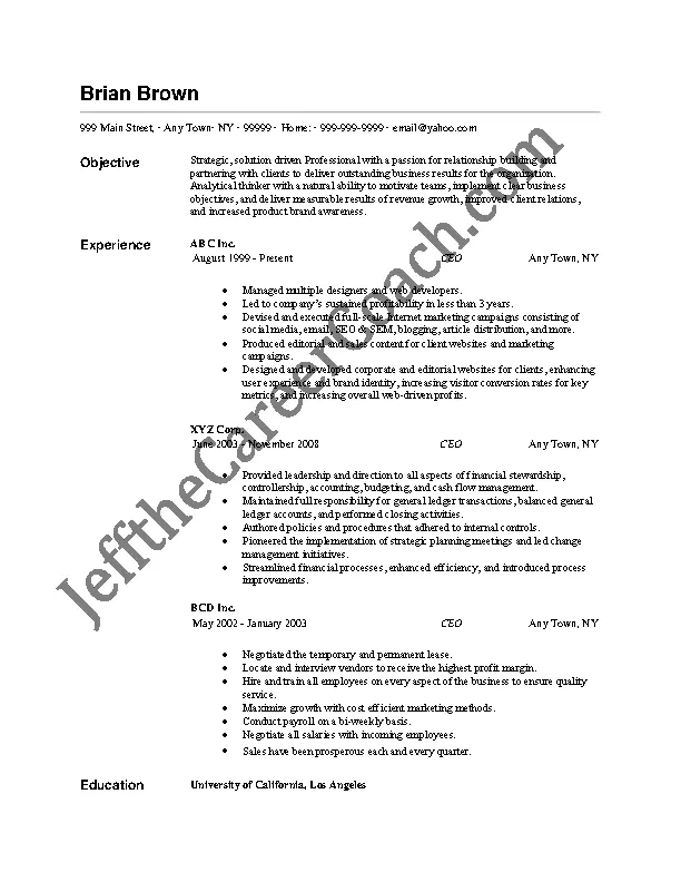 Ceo Resume Free Download