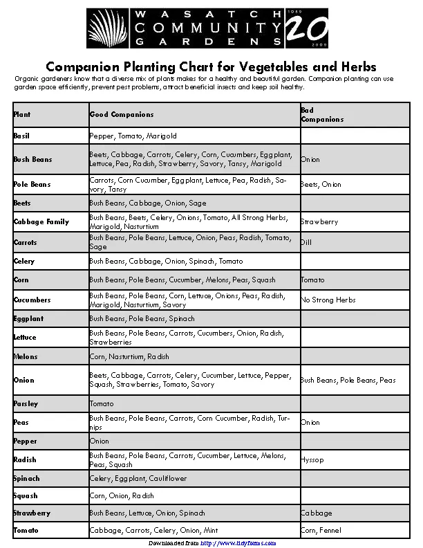 Companion Planting Chart For Vegetables And Herbs