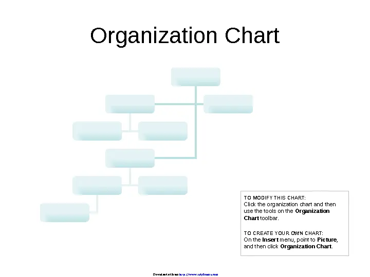 Company Organization Chart 1