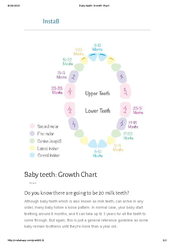 Complete Baby Teeth Growth Chart Template