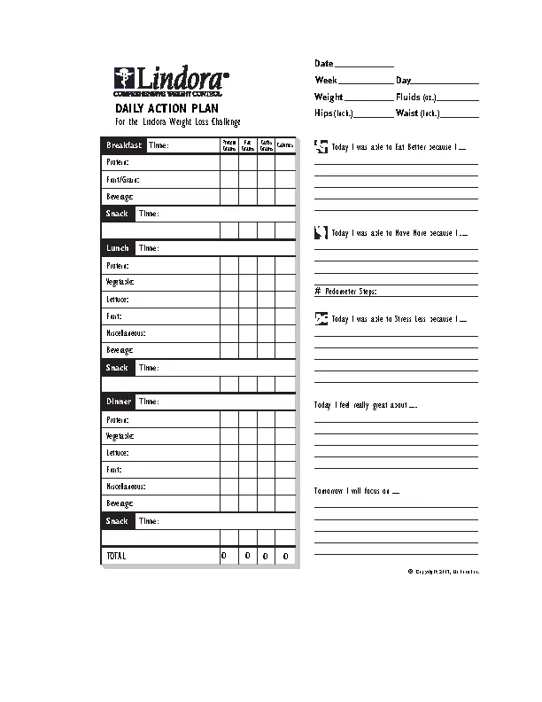 daily-action-plan-template-pdfsimpli