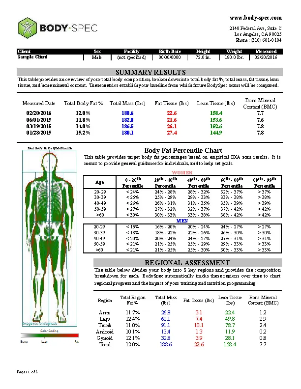 Example Body Fat Percentage Chart