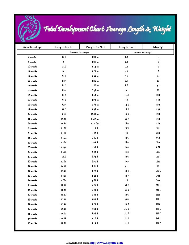 Fetal Average Length And Weight Chart