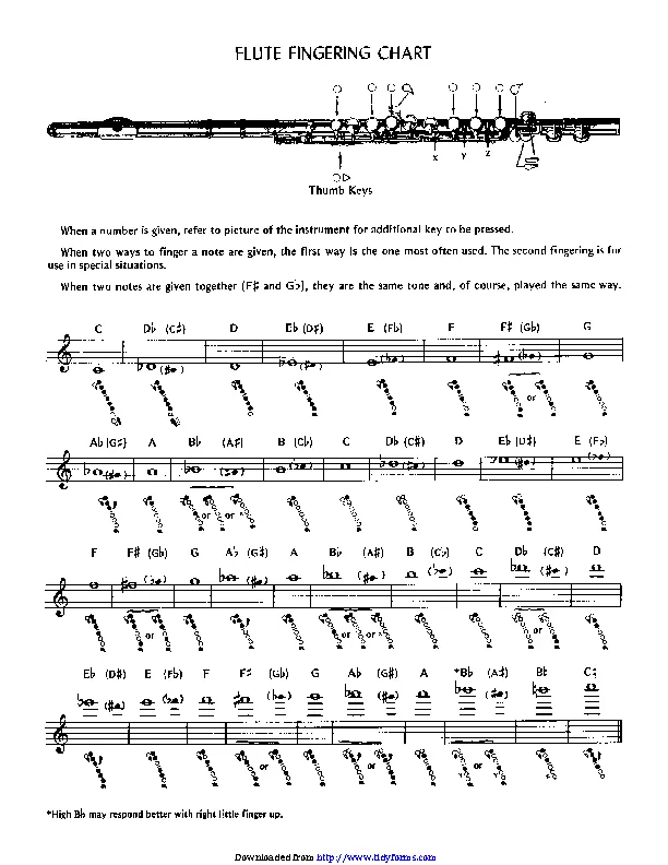 Flute Fingering Chart Pdfsimpli 3216