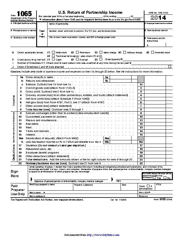 Form 1065 - PDFSimpli