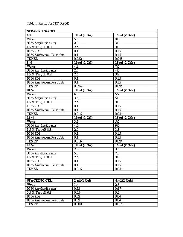 Full Page Recipe Template For Word