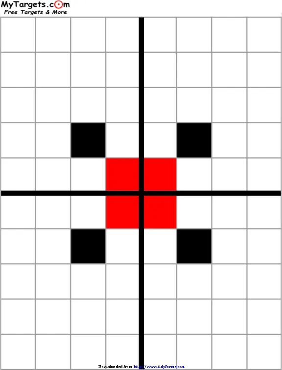 Grid Target With Sight Alignment Aid
