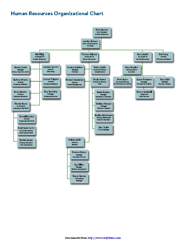 Human Resources Organizational Chart 5 - PDFSimpli