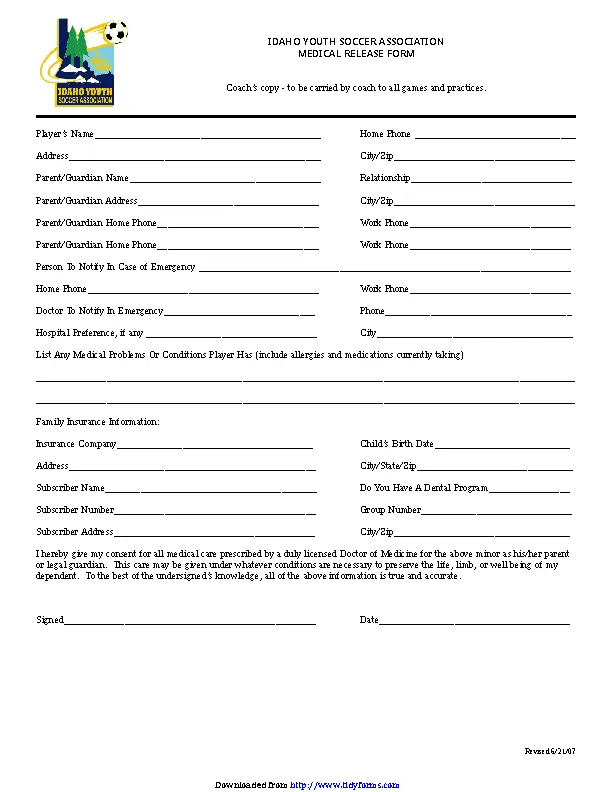 Idaho Medical Release Form - PDFSimpli