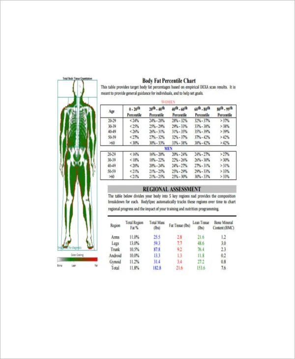 Ideal Body Fat Measurement For Gender