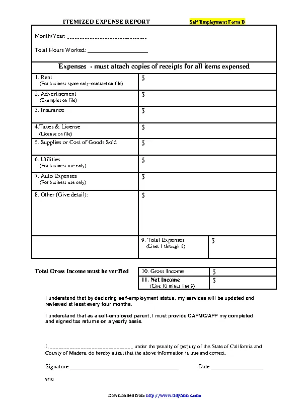 Itemized Expense Report Template - PDFSimpli