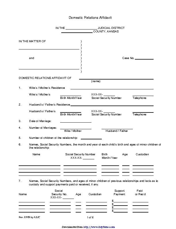 Kansas Domestic Relations Affidavit Form PDFSimpli