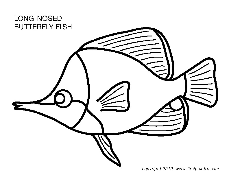 Long Nosed Butterfly Fish Template