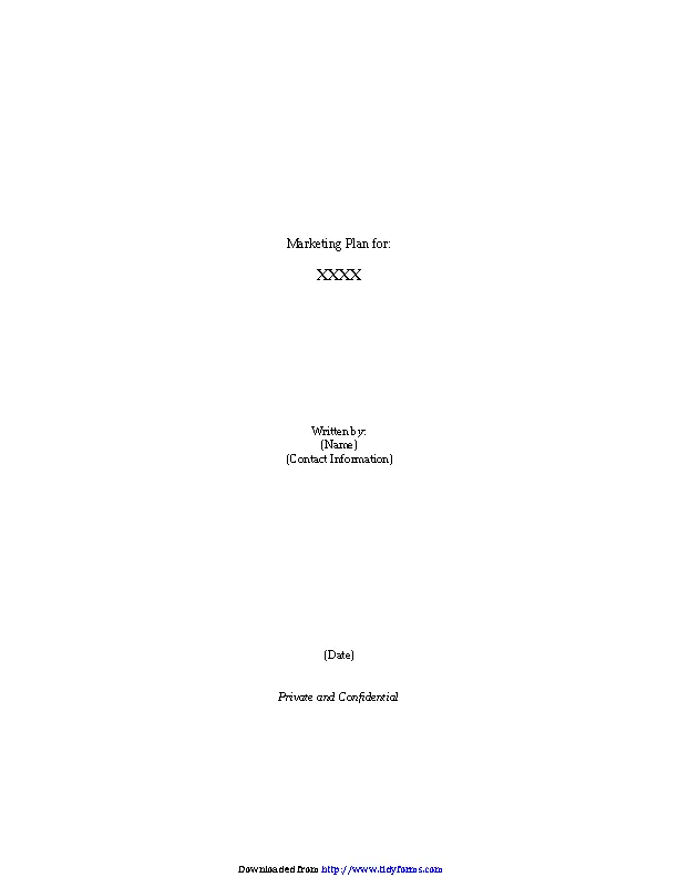 Marketing Plan Template 2 - PDFSimpli