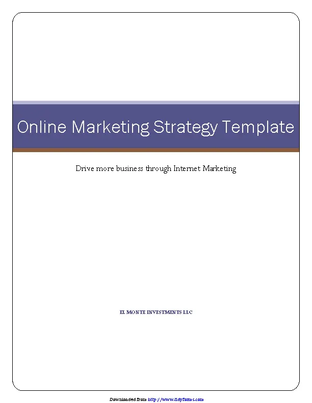 Marketing Strategy Template 2 Online