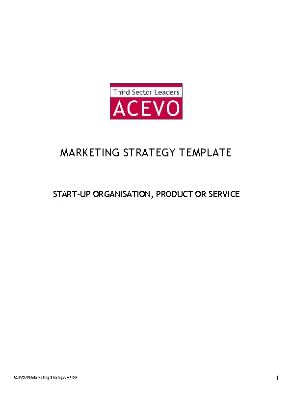 Marketing Strategy Template 1