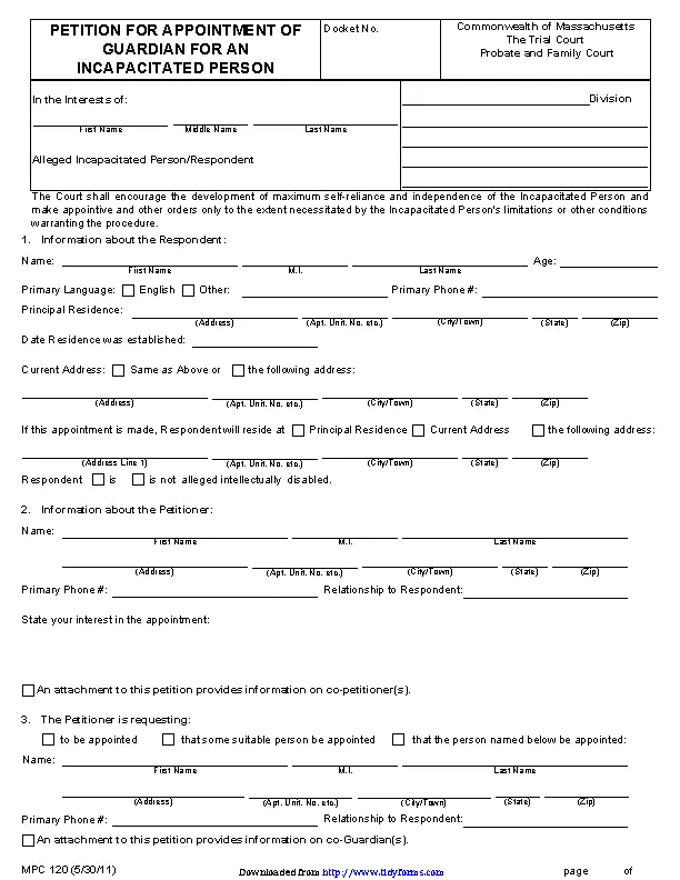 Massachusetts Guardianship Form 3 PDFSimpli