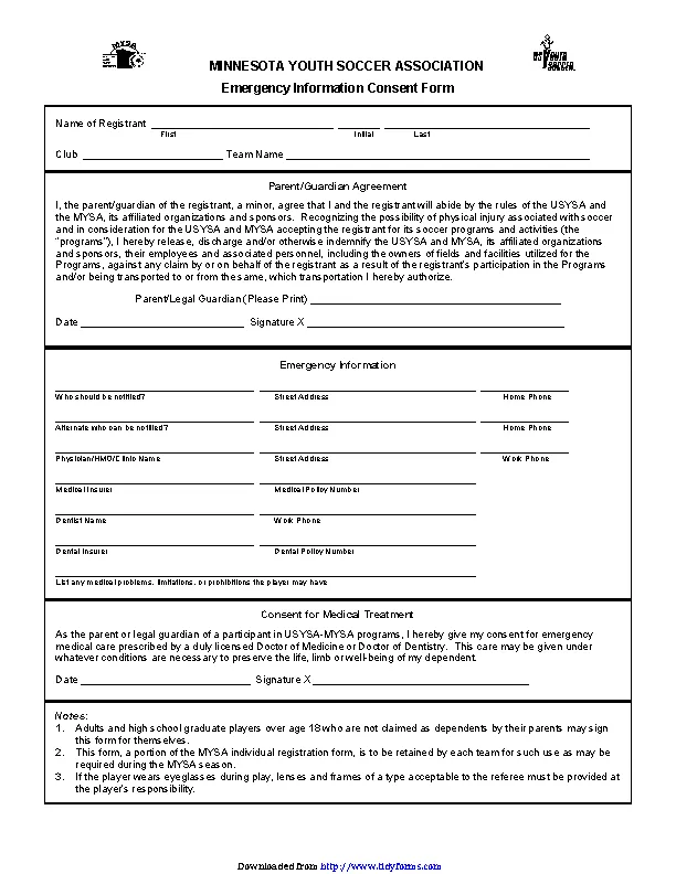 Minnesota Emergency Information Consent Form - PDFSimpli