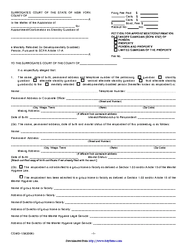 New York Child Custody Form