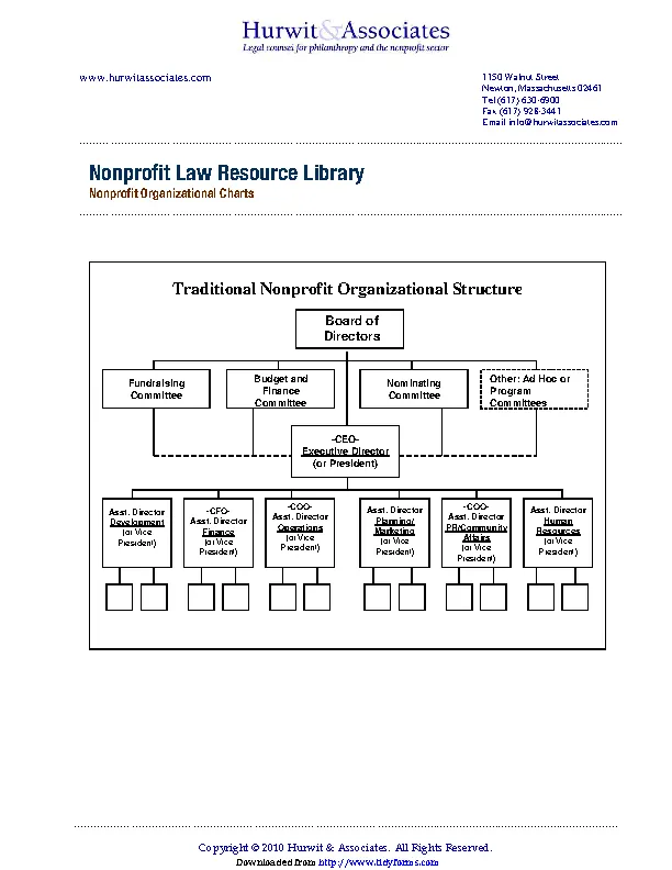 Non Profit Organizational Chart 1 - PDFSimpli