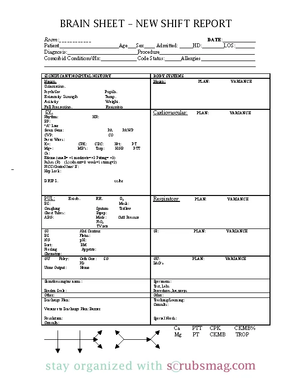 Nursing Worksheet Template Example For Pdf - PDFSimpli