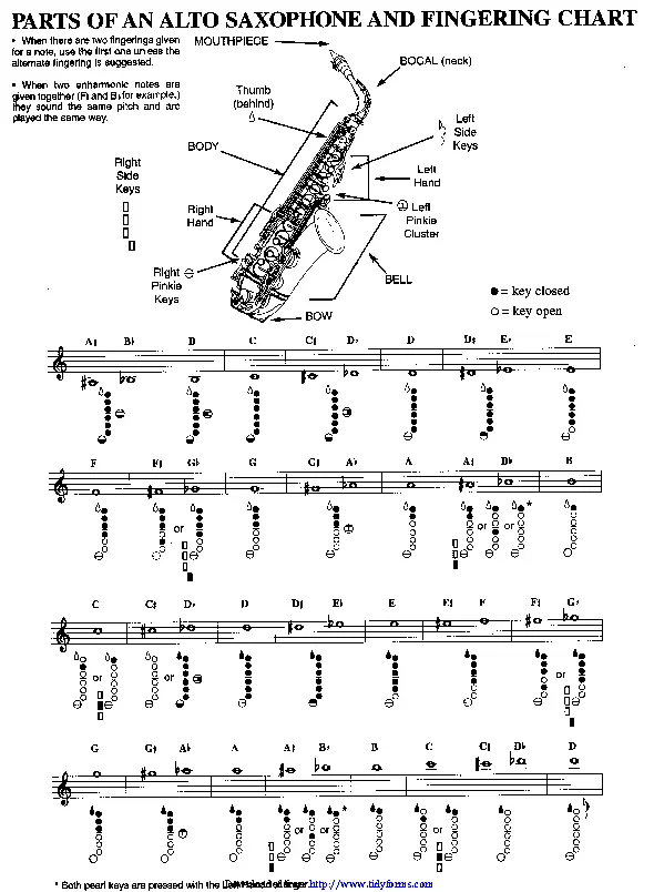 Parts Of An Alto Saxophone And Fingering Chart