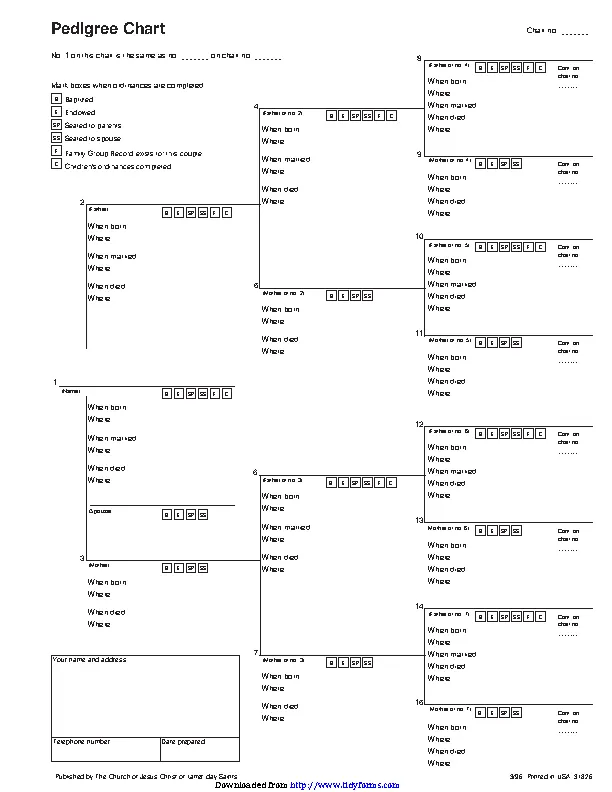 Pedigree Chart 3 - PDFSimpli