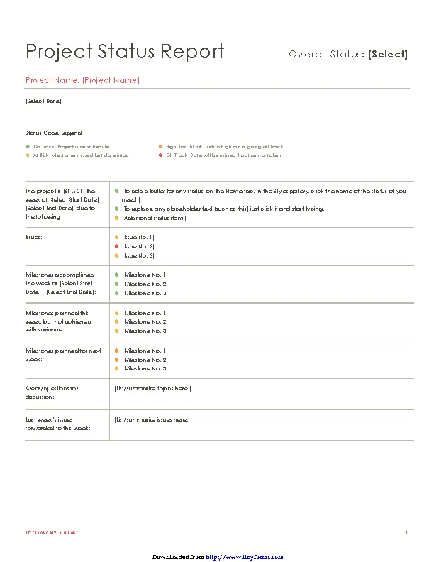 Project Status Report Template 2 - PDFSimpli