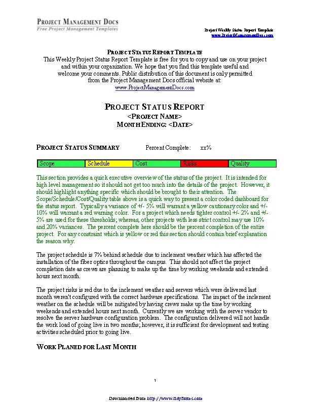 Project Status Report Template 6 - PDFSimpli