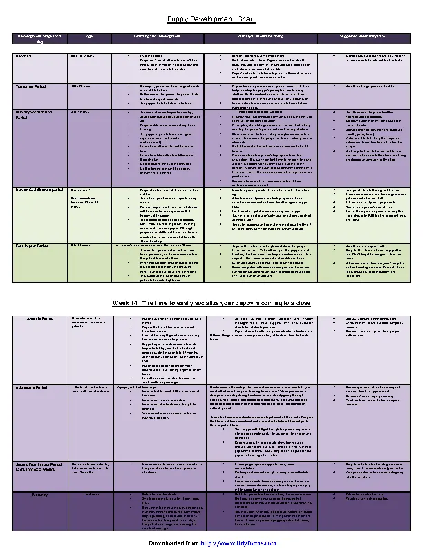 Puppy Development Chart - PDFSimpli