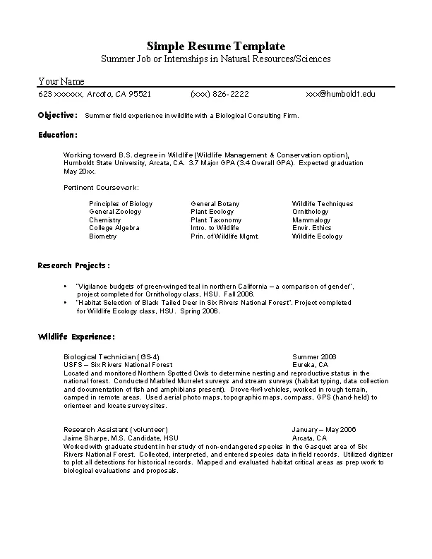 Resume Example Intern Summer1 - Resume Example Intern Summer1.webp