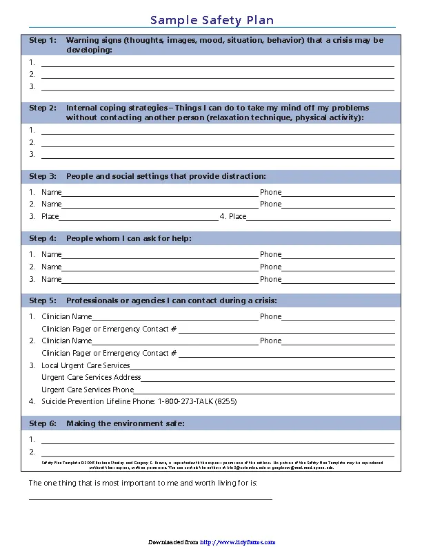 Safety Plan Template 1 - PDFSimpli