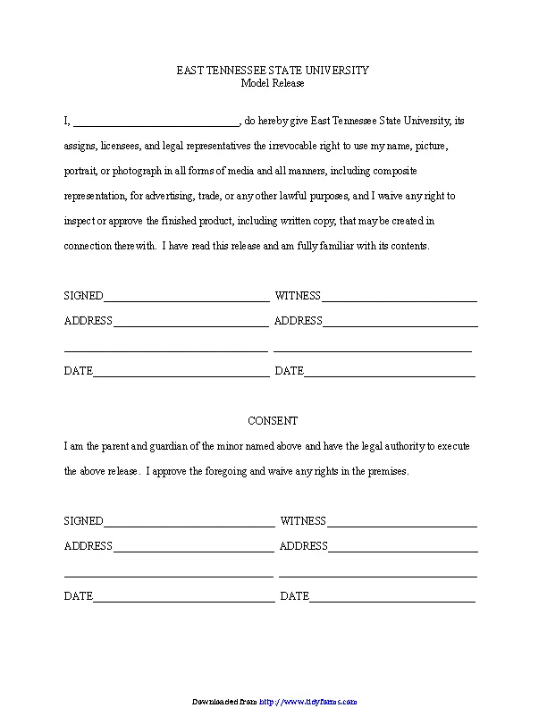 Tennessee Model Release Form 2