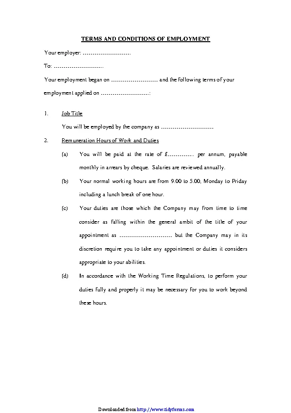 Terms And Conditions Of Employment Template