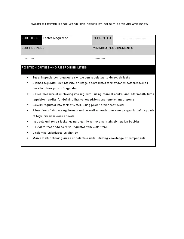 Tester Regulator Job Description