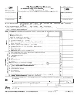 Forms 2016 1065 PDF
