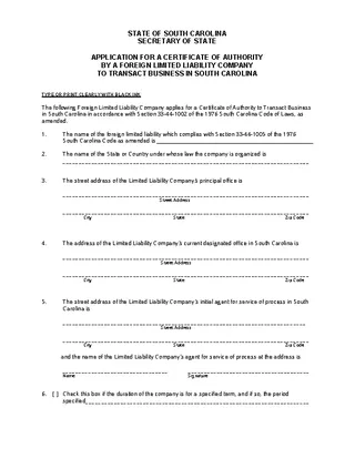Forms South Carolina Application For Authority