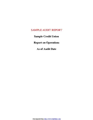 Audit Report Sample