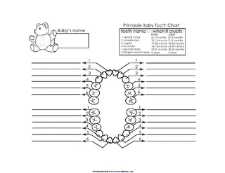 Forms Baby Teeth Chart 1