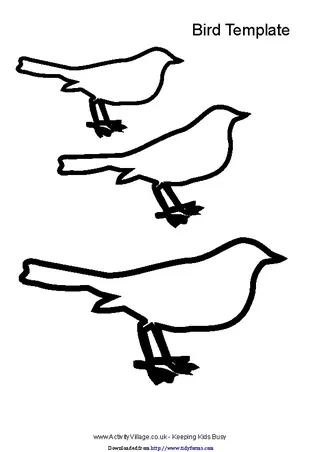 Bird Template 2