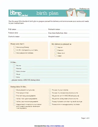 Forms Birth Plan Template