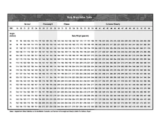 Body Mass Index Chart Table Example