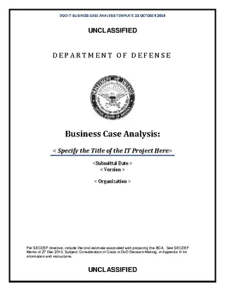 Business Case Customer Analysis Template